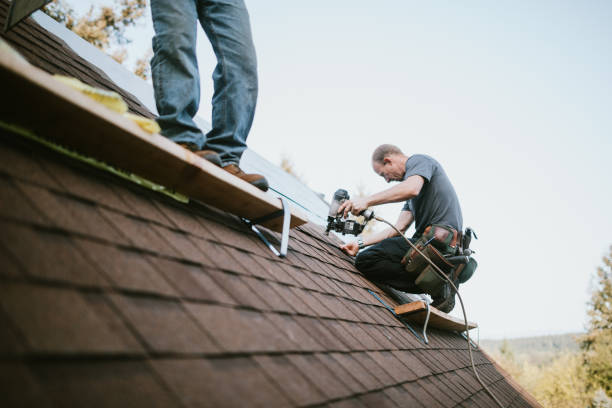 Best Storm Damage Roof Repair  in Wilmore, KY